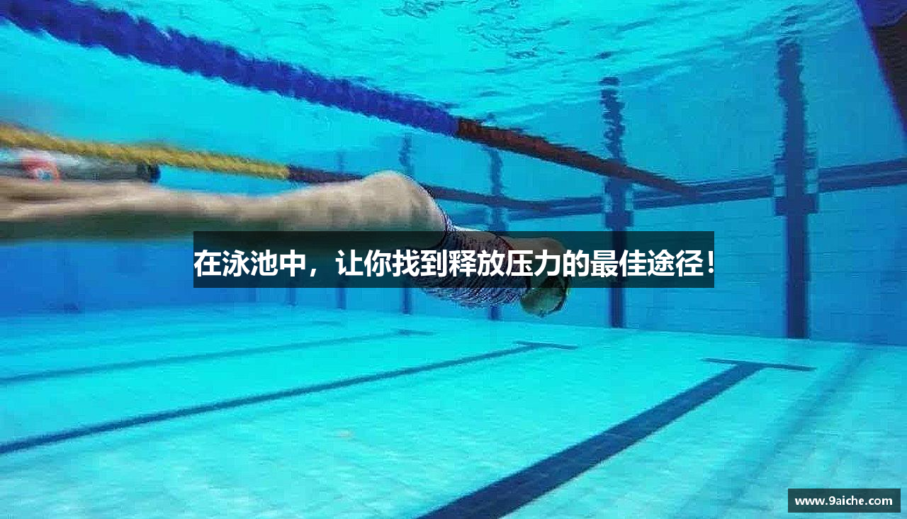 在泳池中，让你找到释放压力的最佳途径！
